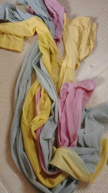 Photo gallery from 20251019, image 12