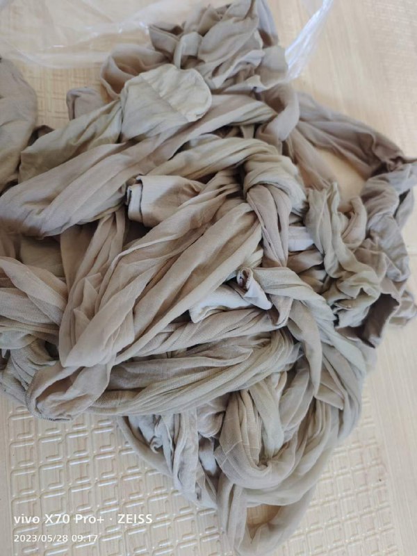 Photo gallery from 20230529, image 9