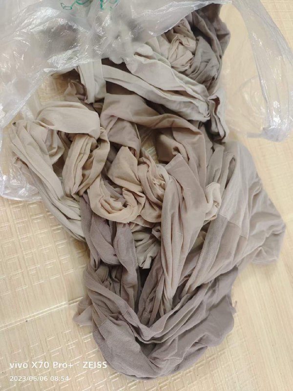 Photo gallery from 20230606, image 5