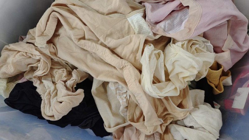 Photo gallery from 20240109, image 3