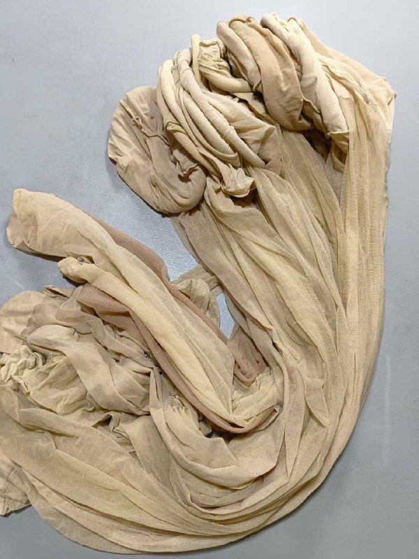 Photo gallery from 20251107, image 9