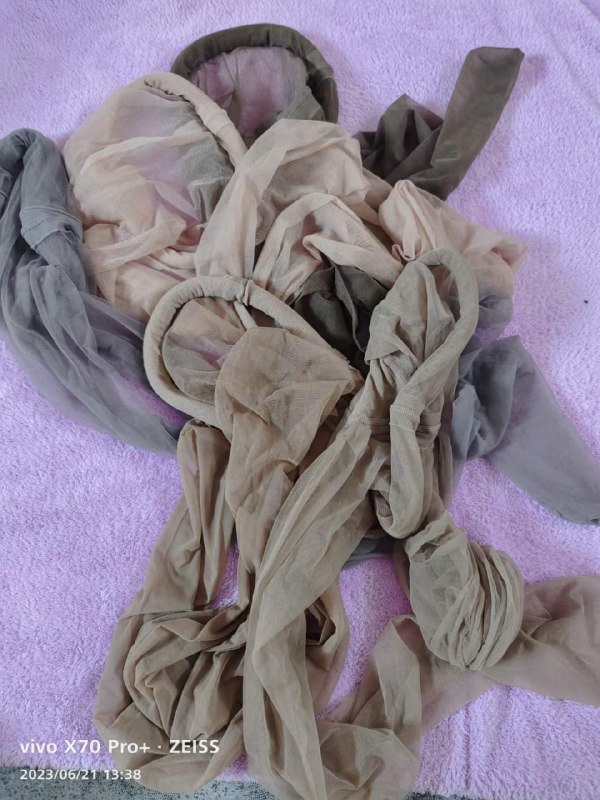 Photo gallery from 20230621, image 12