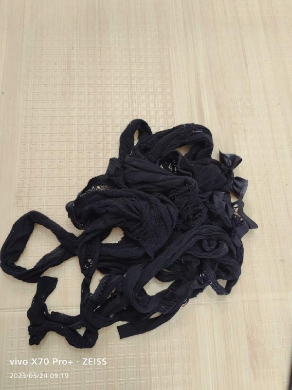 Photo gallery from 20230524, image 9