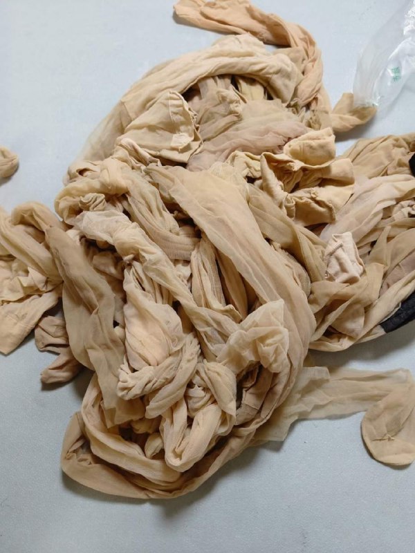 Photo gallery from 20231016, image 1