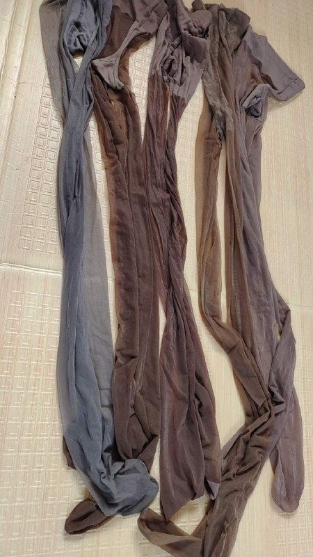 Photo gallery from 20231014, image 10