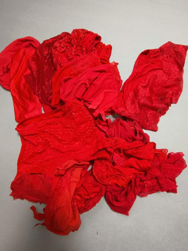 Photo gallery from 20230725, image 10