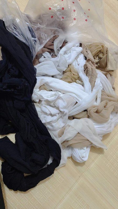 Photo gallery from 20240701, image 8