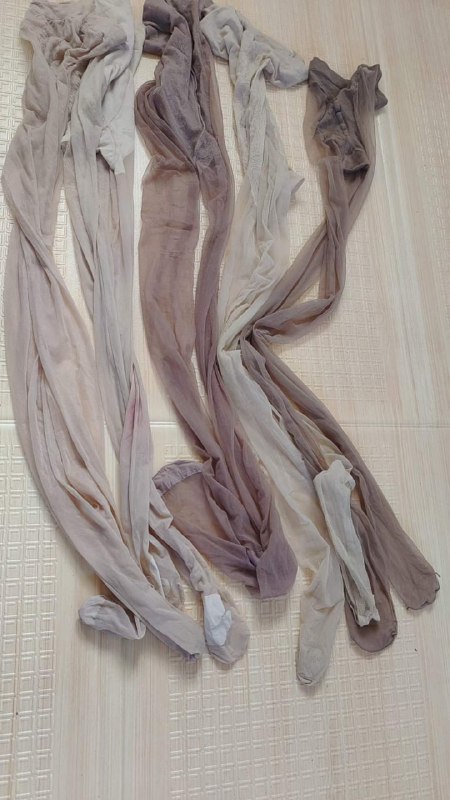 Photo gallery from 20231101, image 11