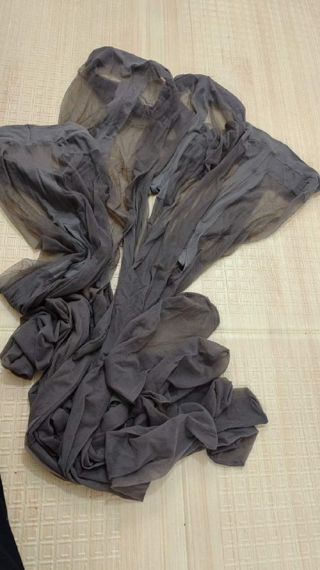 Photo gallery from 20240425, image 1