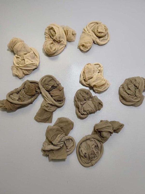 Photo gallery from 20240221, image 8