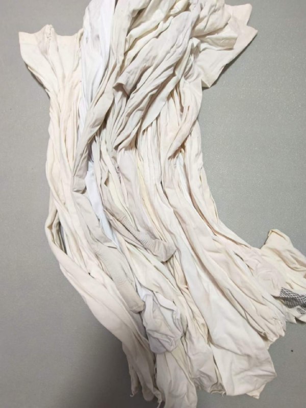 Photo gallery from 20230815, image 11