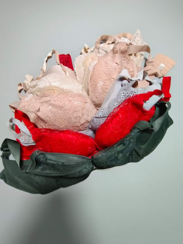 Photo gallery from 20230812, image 5