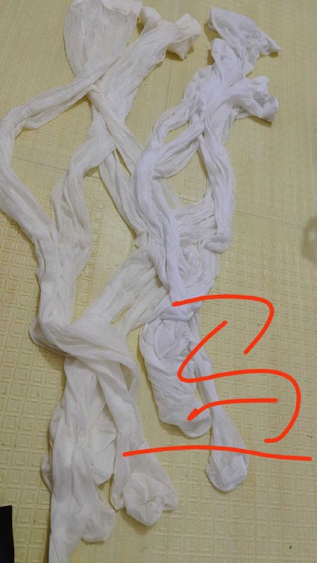 Photo gallery from 20250813, image 3