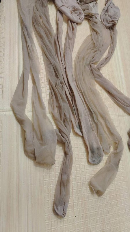 Photo gallery from 20240712, image 10