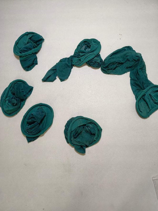 Photo gallery from 20231016, image 6