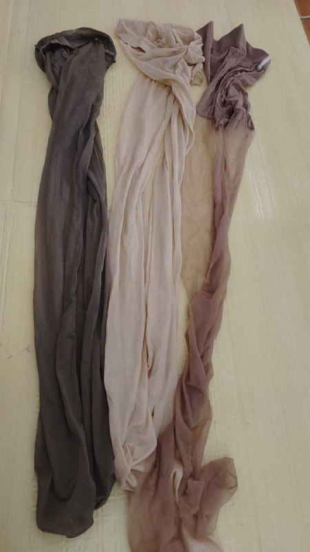 Photo gallery from 20250804, image 3