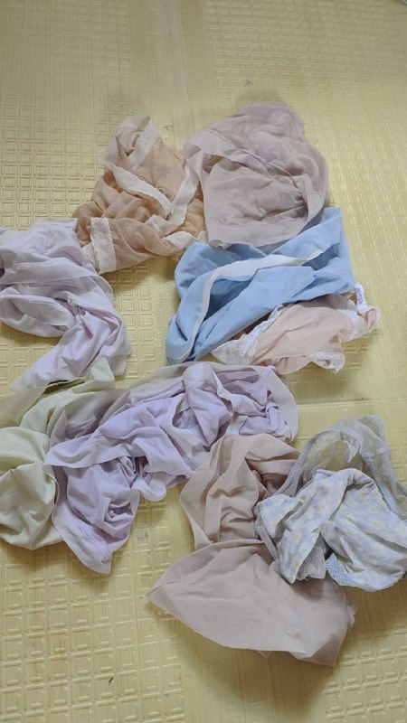 Photo gallery from 20250802, image 2