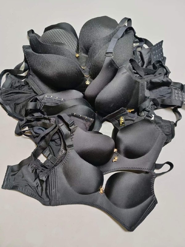 Photo gallery from 20240513, image 4