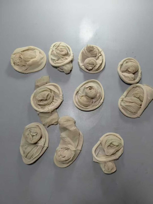 Photo gallery from 20251006, image 6