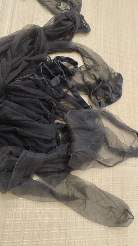 Photo gallery from 20240626, image 10