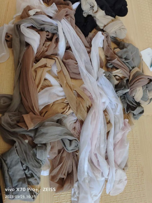 Photo gallery from 20230526, image 10