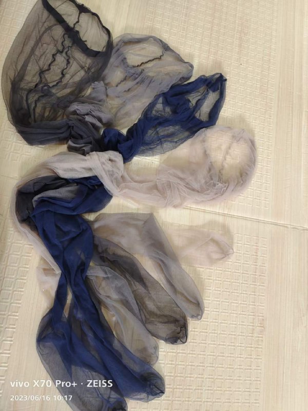 Photo gallery from 20230616, image 7