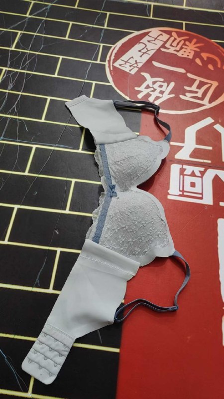 Photo gallery from 20251113, image 8