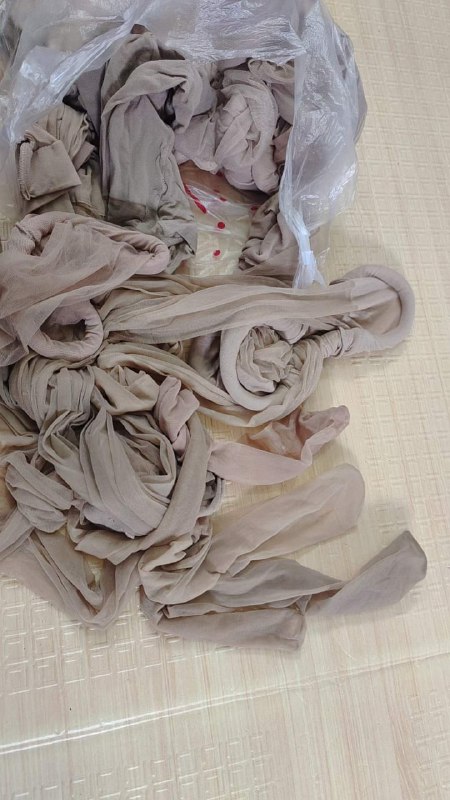 Photo gallery from 20231008, image 2