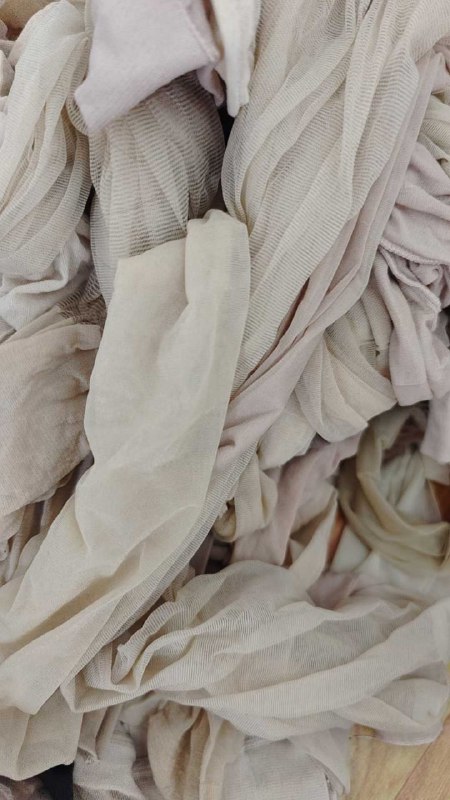 Photo gallery from 20251103, image 8