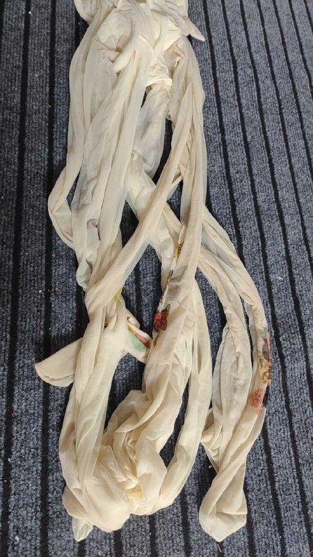 Photo gallery from 20250728, image 6