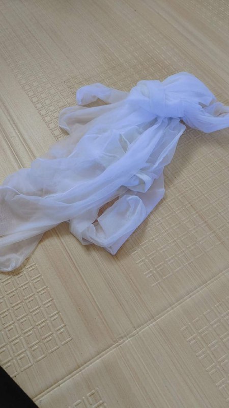 Photo gallery from 20231105, image 8