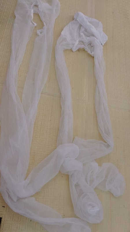 Photo gallery from 20250824, image 7