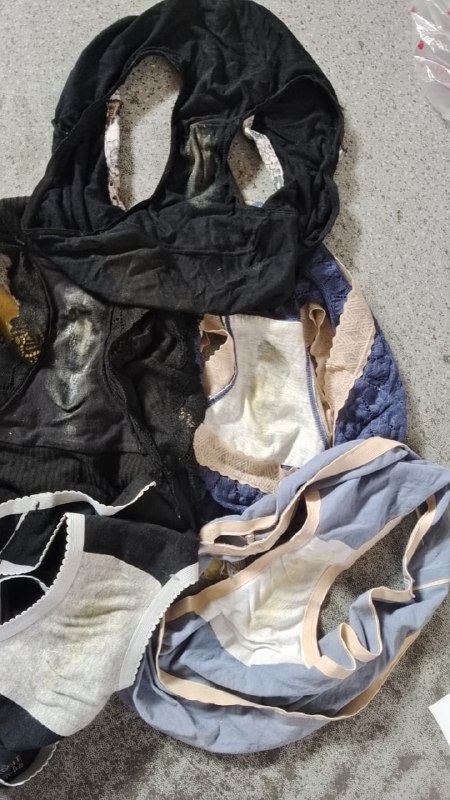 Photo gallery from 20240530, image 12