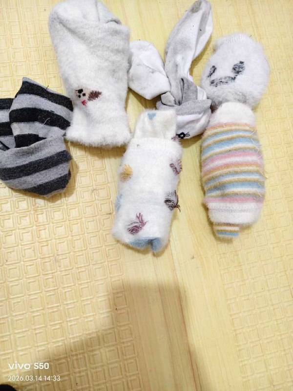 Photo gallery from 20260314, image 10