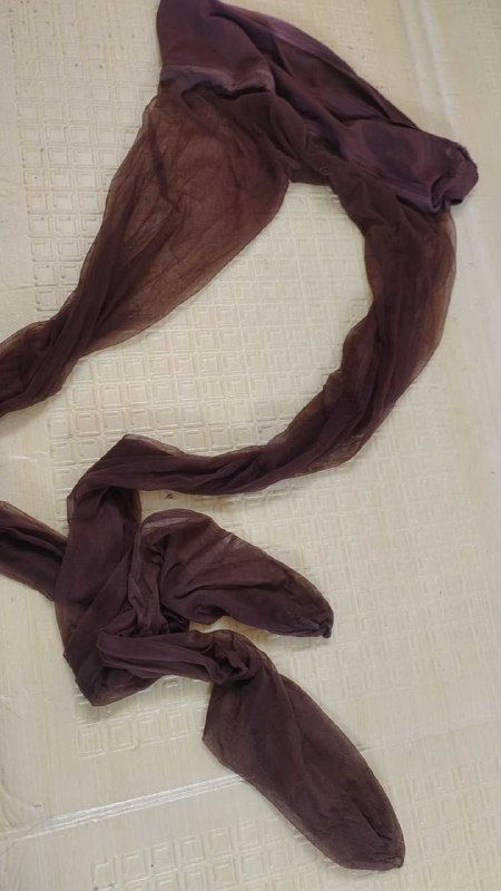 Photo gallery from 20251210, image 8