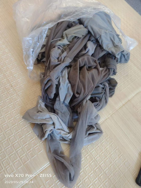 Photo gallery from 20230529, image 5