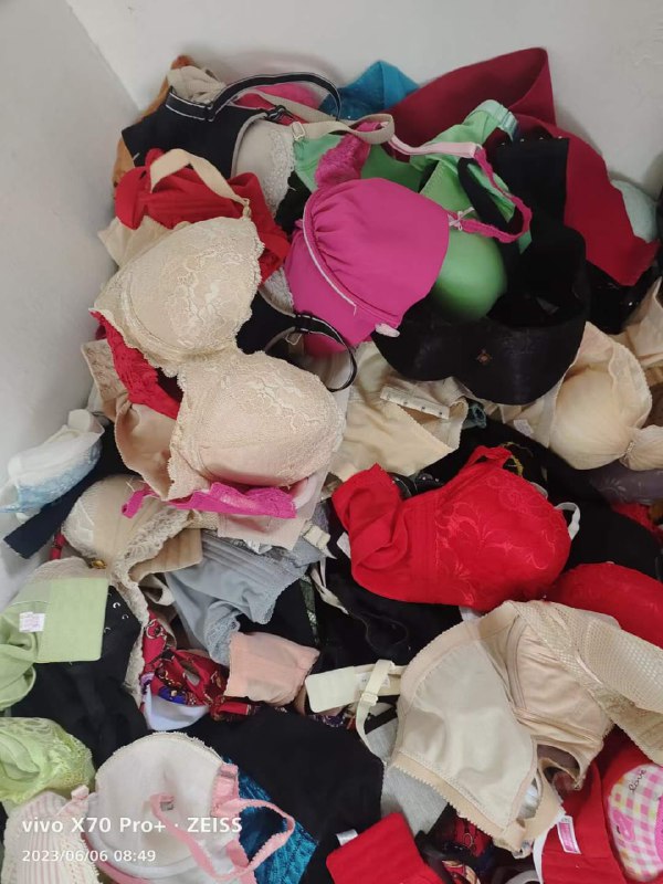 Photo gallery from 20230606, image 10