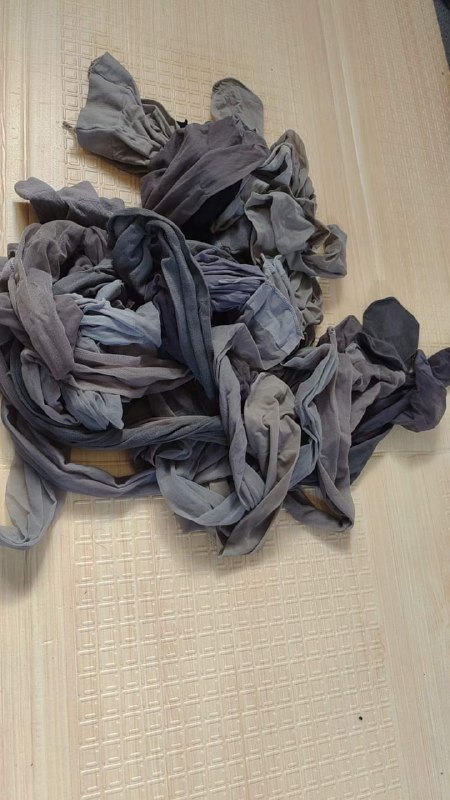 Photo gallery from 20231023, image 1