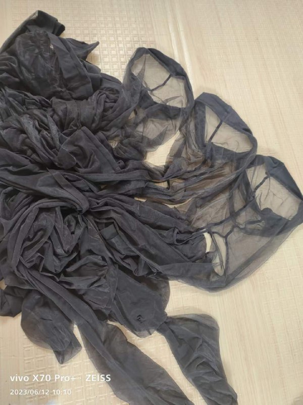 Photo gallery from 20230612, image 9