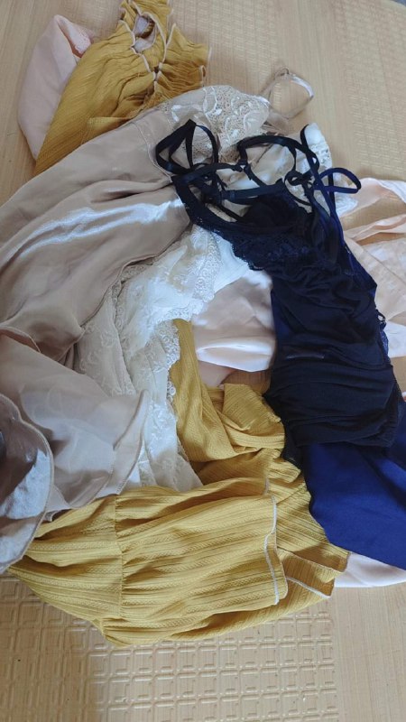 Photo gallery from 20230731, image 10