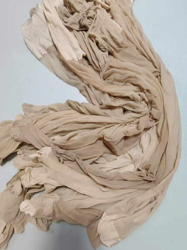 Photo gallery from 20230803, image 8