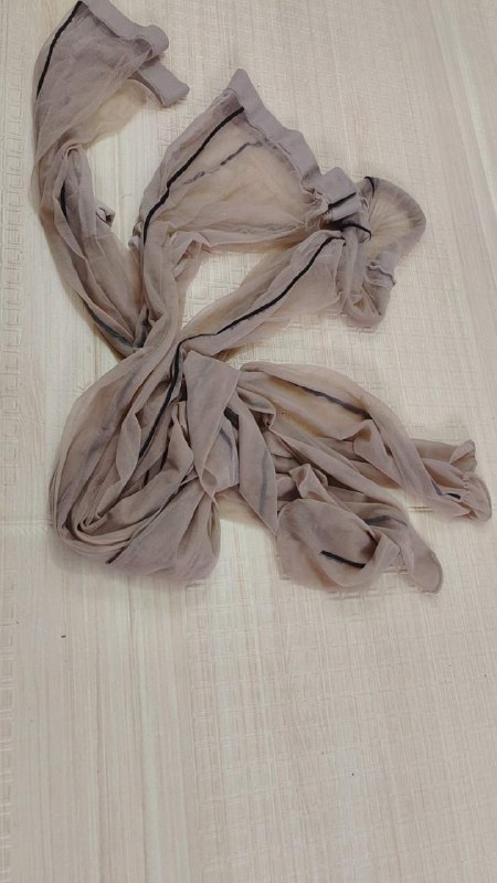 Photo gallery from 20231013, image 1