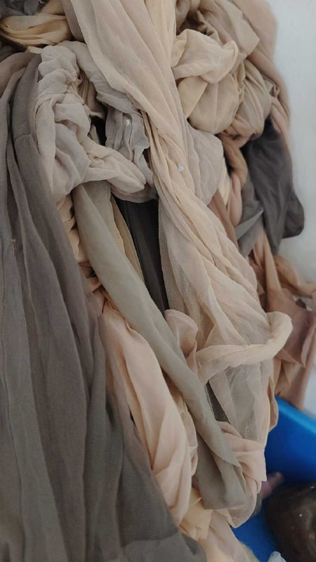 Photo gallery from 20250807, image 1