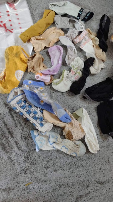 Photo gallery from 20230828, image 6