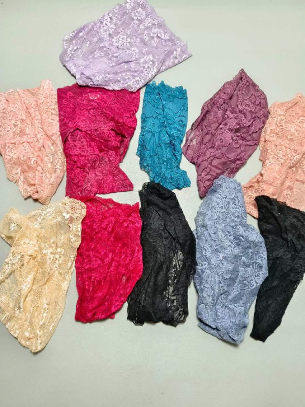 Photo gallery from 20231111, image 1