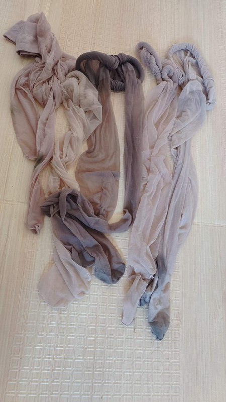 Photo gallery from 20230918, image 3