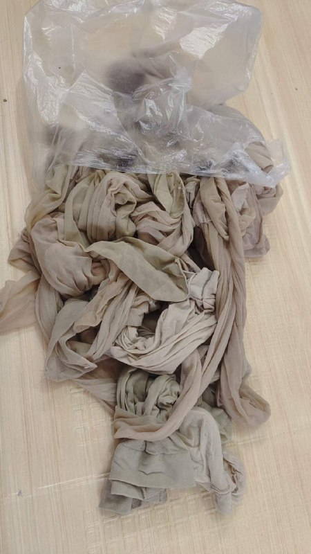 Photo gallery from 20231211, image 5