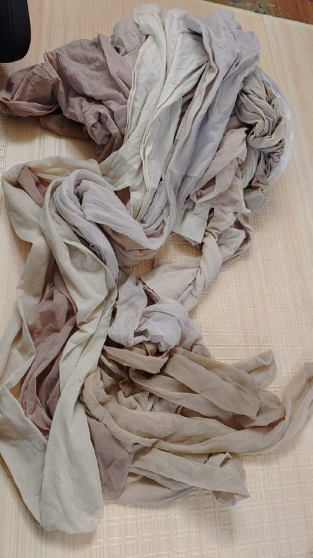 Photo gallery from 20231124, image 12