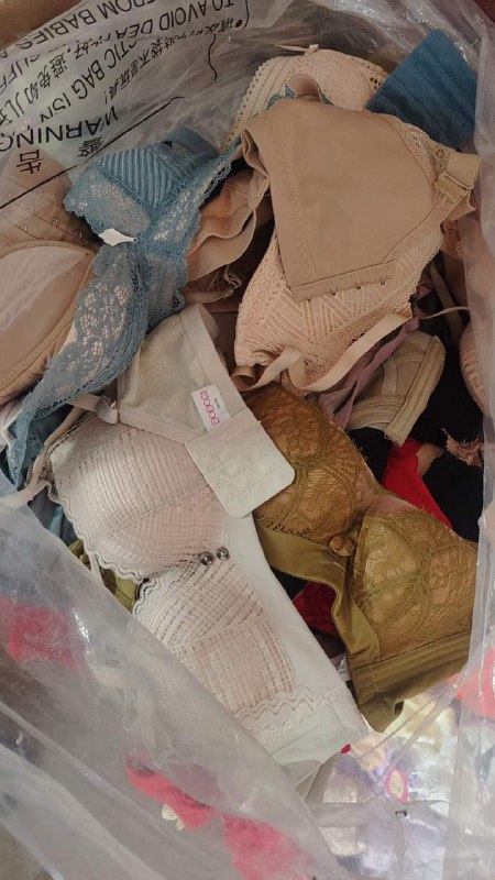 Photo gallery from 20231228, image 6