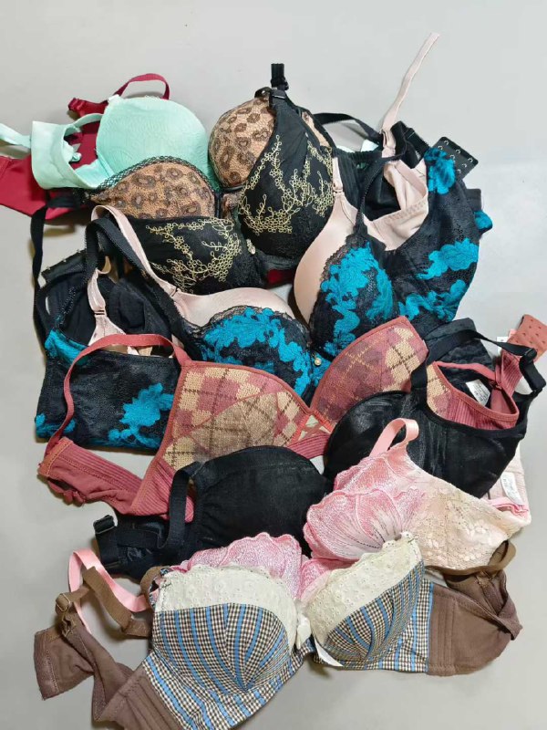 Photo gallery from 20251029, image 10